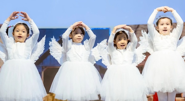 年度回顾 | 梦想与成长的轨迹